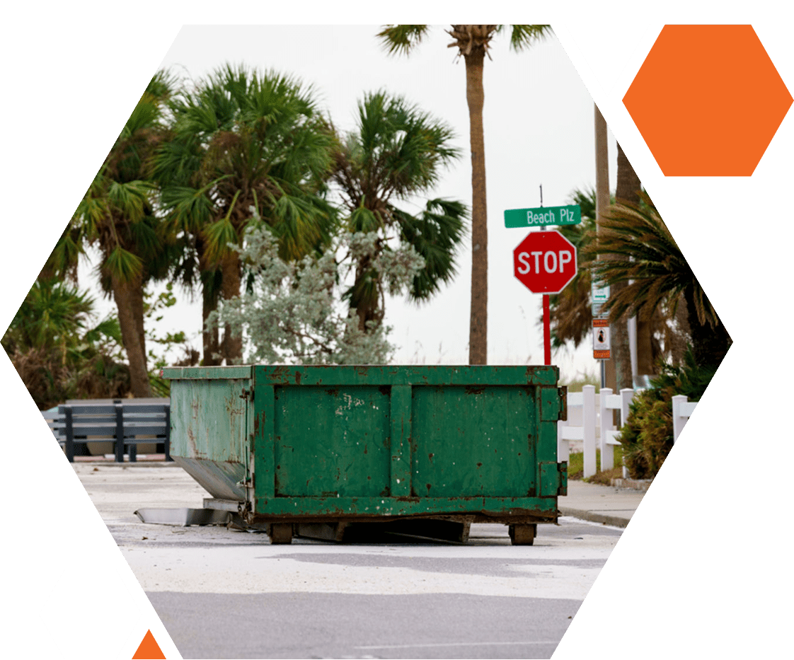 Green dumpster on street near palm trees.